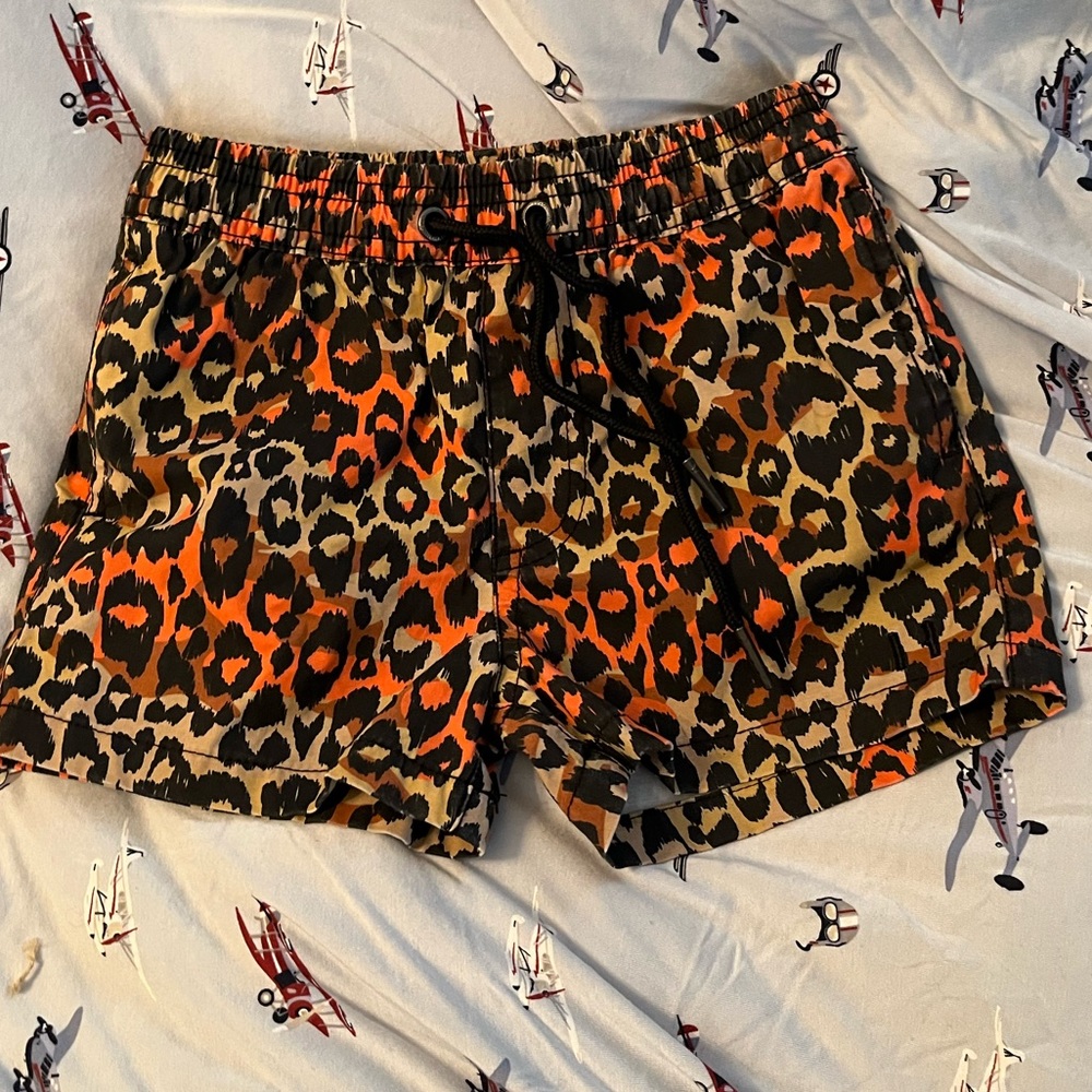 Beau Hudson Swim shorts